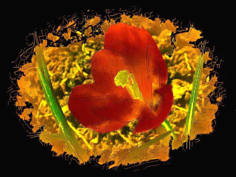 Red flower with golden background