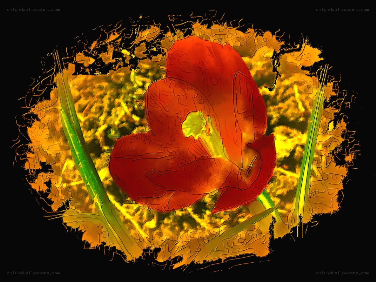 Red flower with golden background