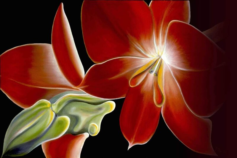 Red flower with green bud