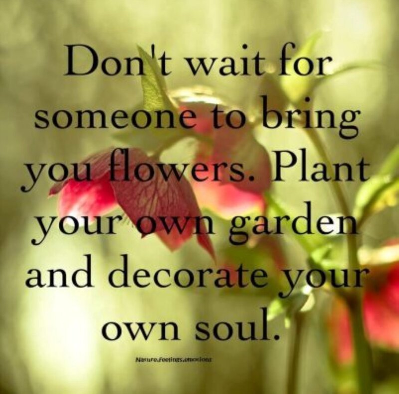 Red Flower with Green Leaves — Inspirational