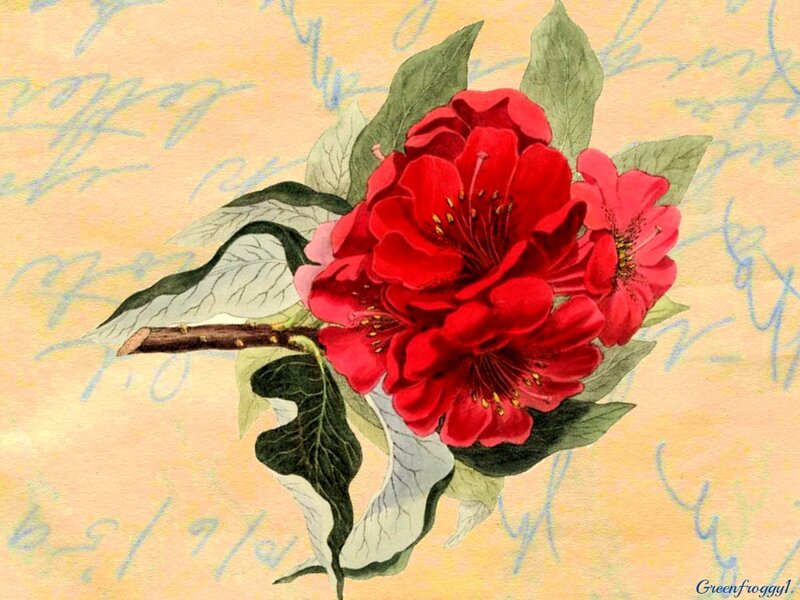 Red Flower with Leaves