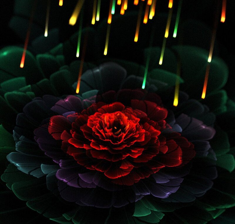 Red Flower with Lights