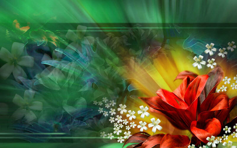Red Flower with White Blooms