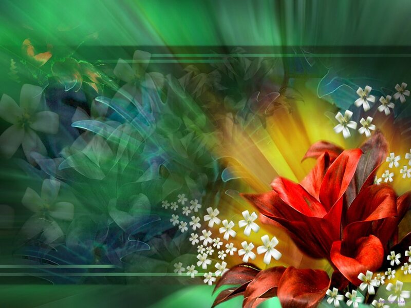 Red Flower with White Blossoms — Green