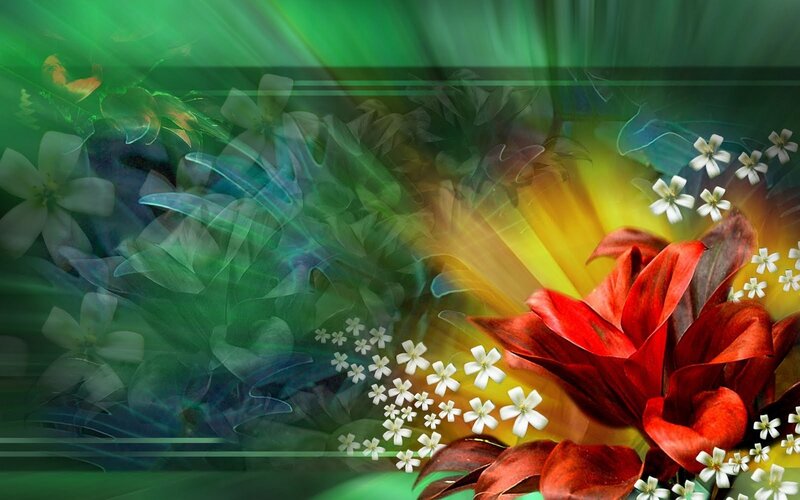 Red Flower with White Blossoms