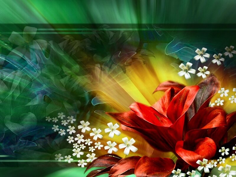 Red Flower with White Blossoms — Vibrant