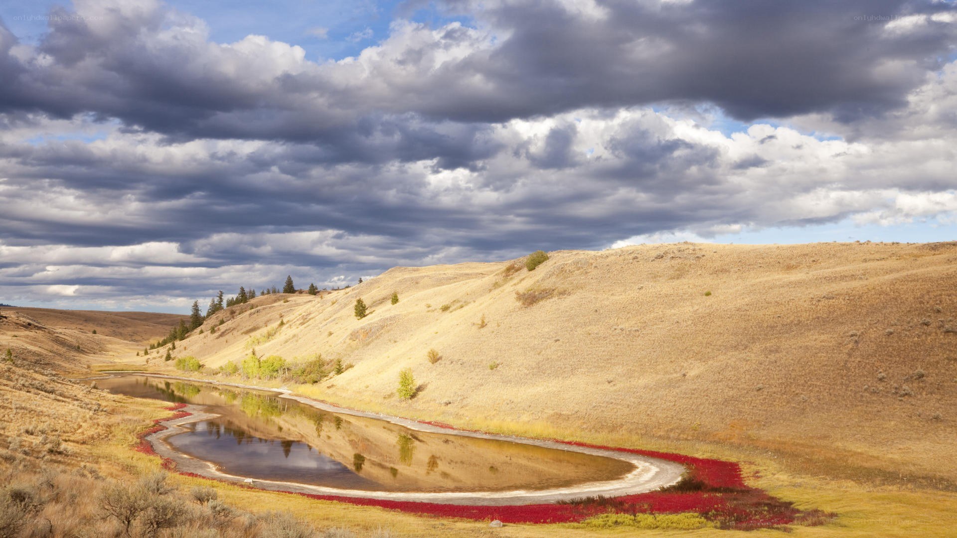 Red-flowered pond in dry hills