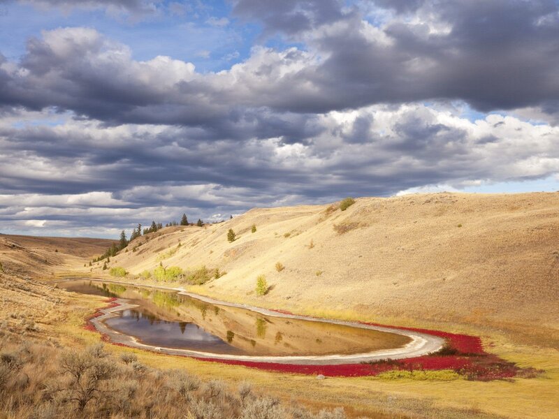 Red-flowered pond in dry valley