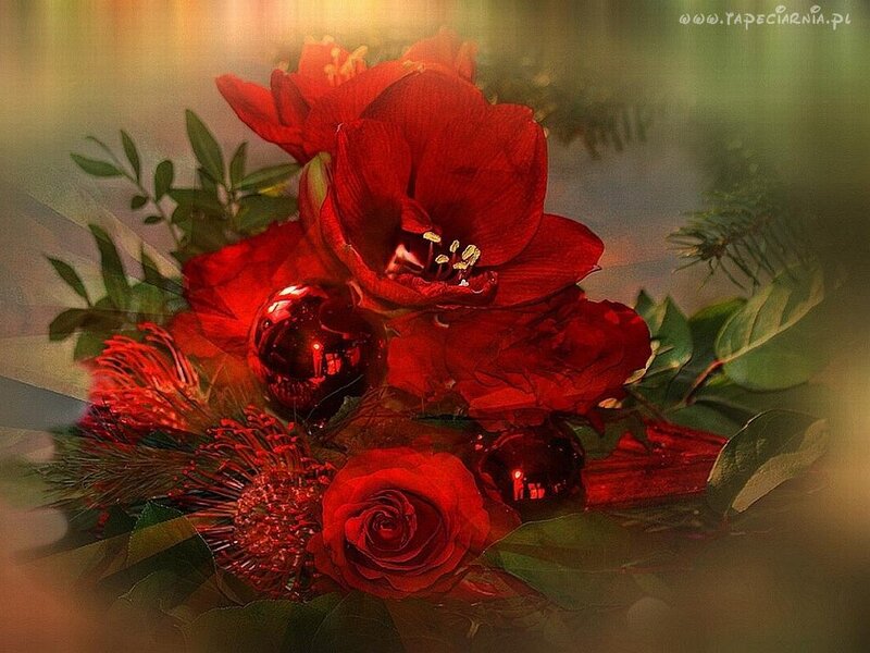 Red Flowers and Ornaments — Festive
