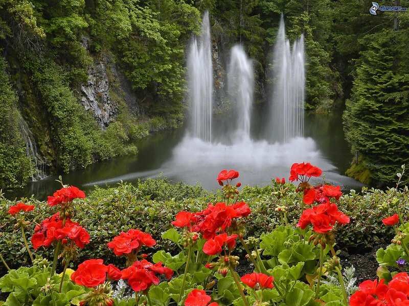 Red Flowers and Waterfall — Serene, Summer