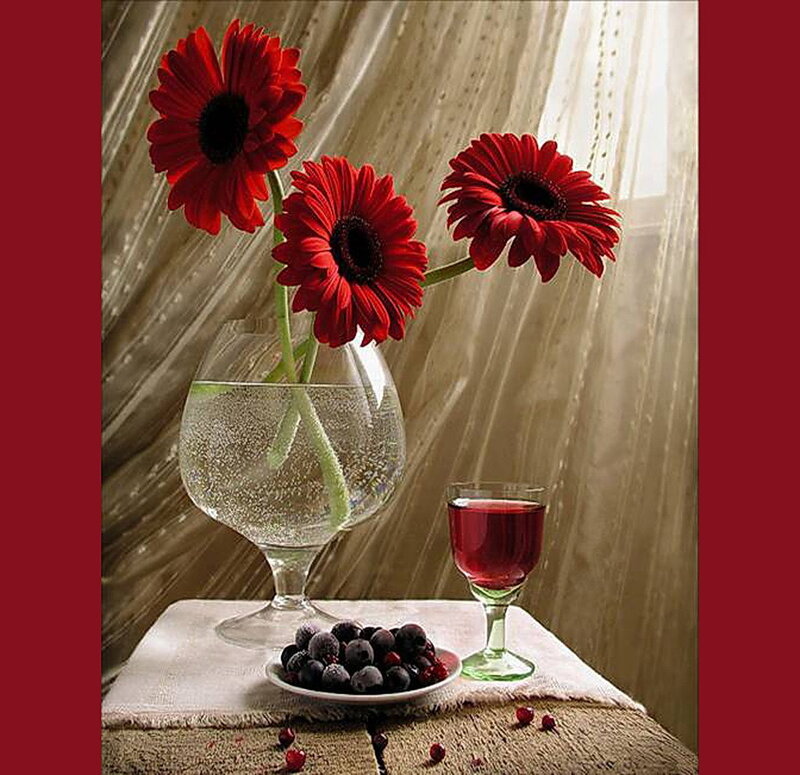 Red flowers and wine still life