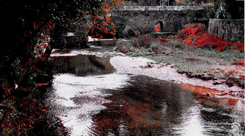 Red flowers by a stone bridge