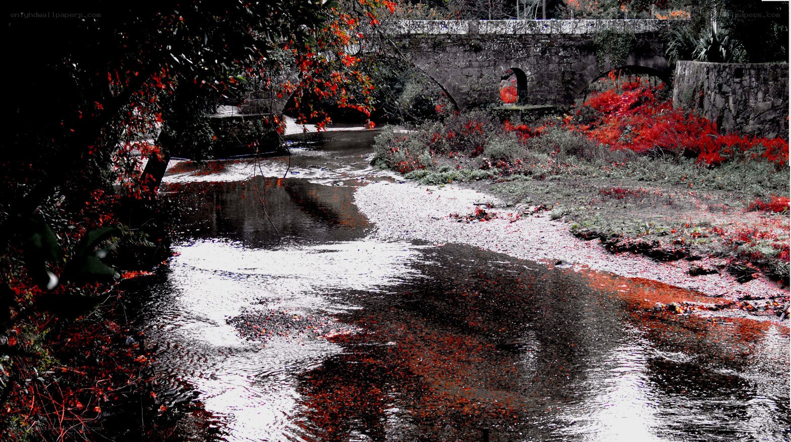 Red flowers by a stone bridge