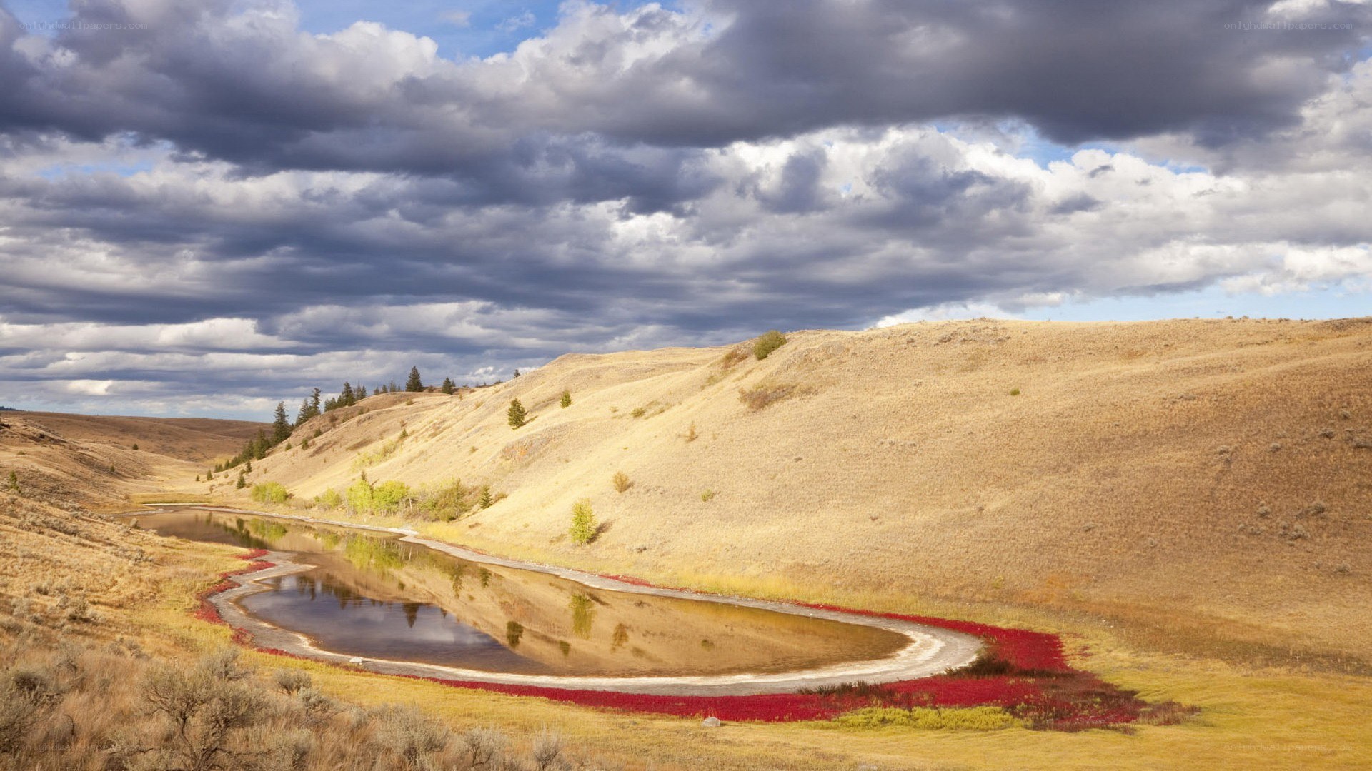 Red flowers by a winding river