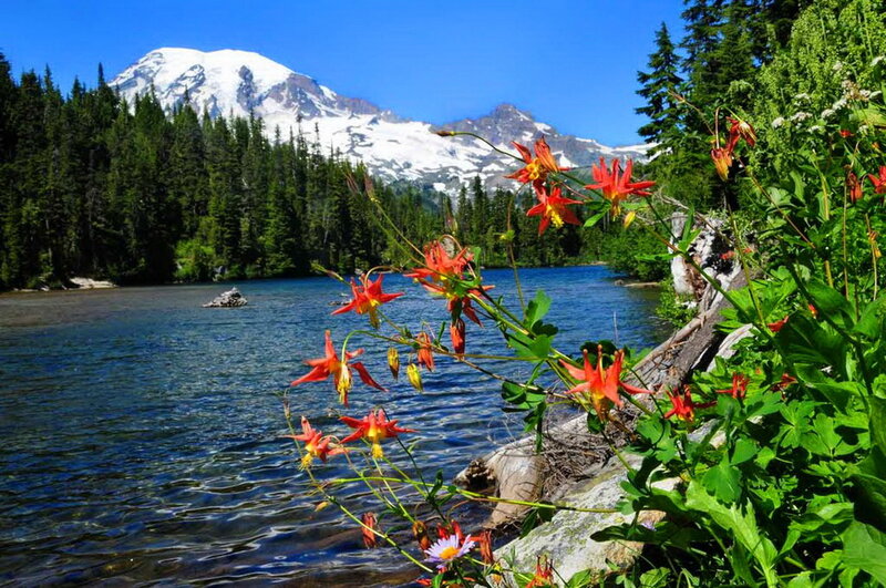 Red Flowers by Lake — Blue, Serene