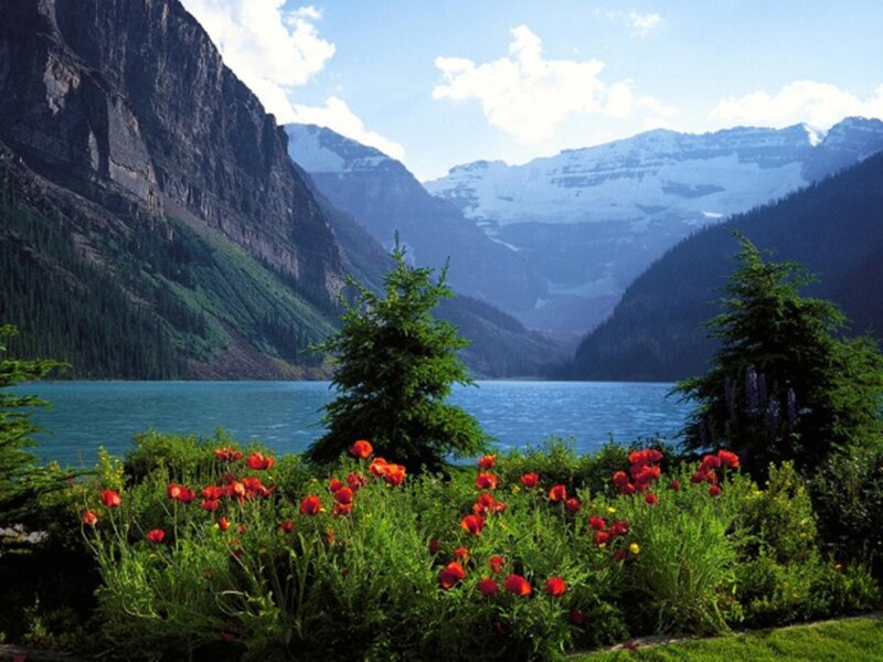 Red Flowers by Lake — Blue