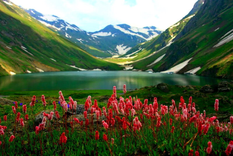 Red Flowers by Lake — Green