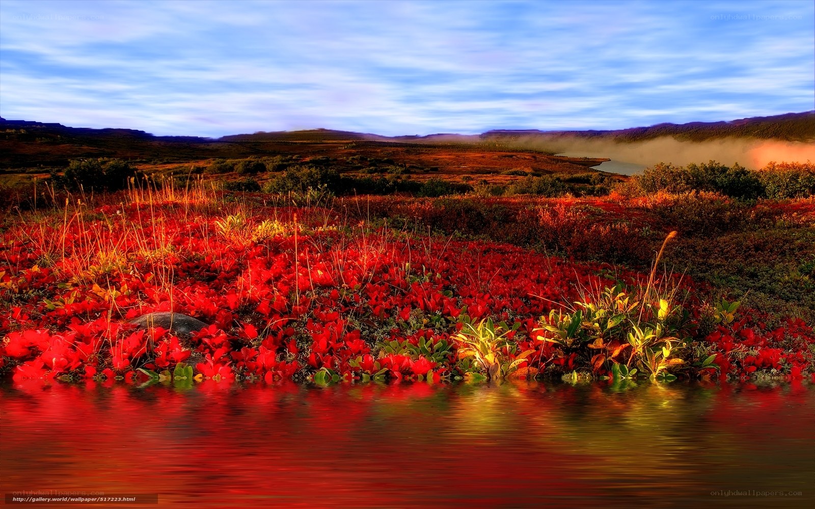 Red Flowers by the Lake