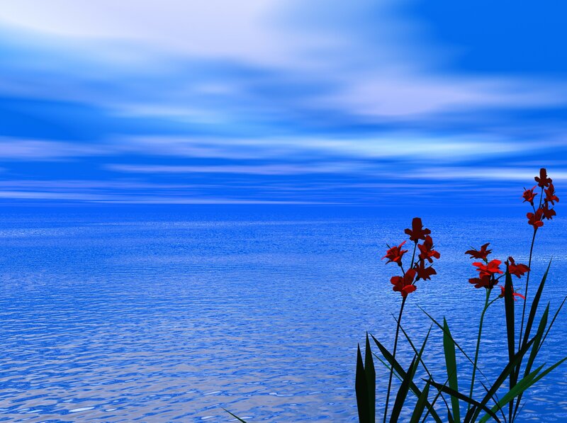 Red Flowers by Water — Blue