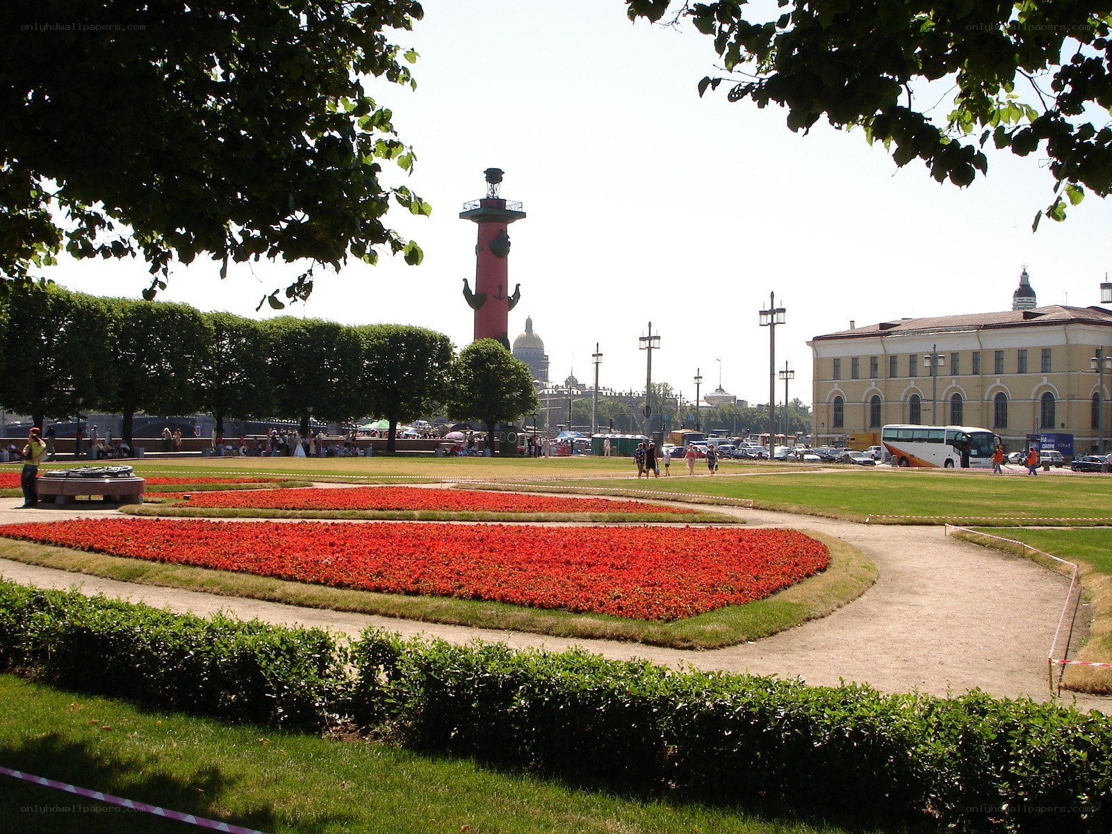 Red flowers in a city park