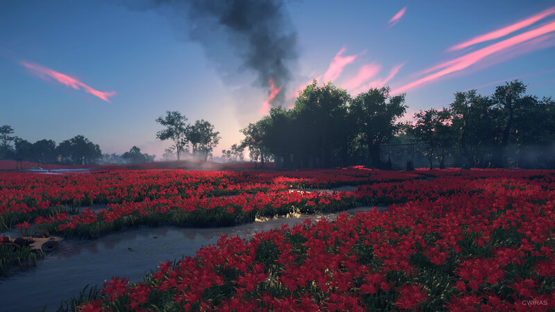Red Flowers in a Field — Dramatic