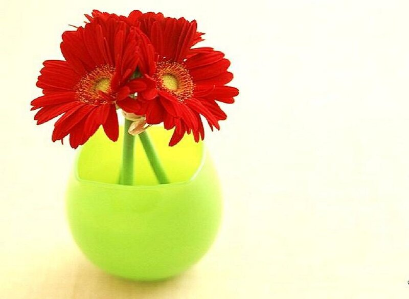 Red flowers in a green vase