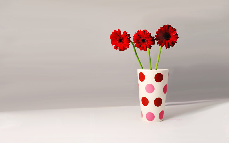 red flowers in a polka dot vase