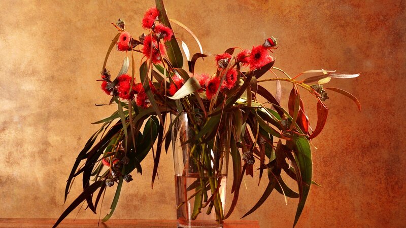 Red Flowers in a Vase — Brown