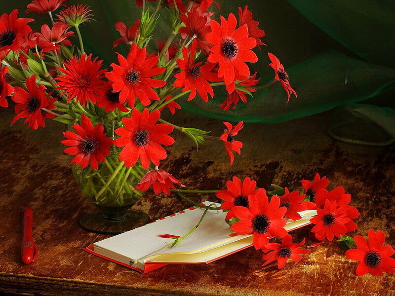 Red Flowers in a Vase — Calm