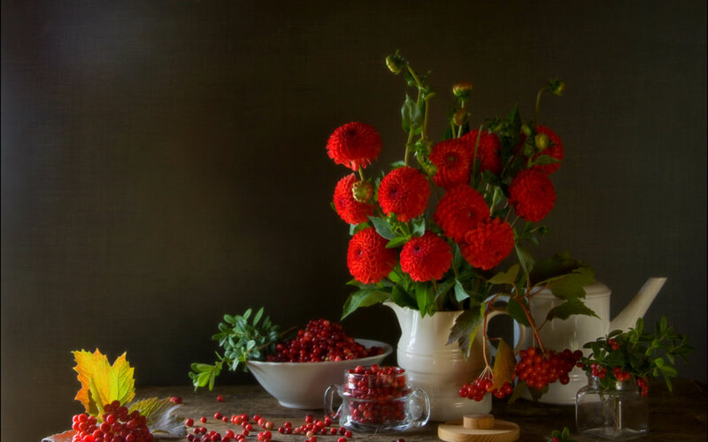 Red Flowers in a Vase — Dramatic, Autumn