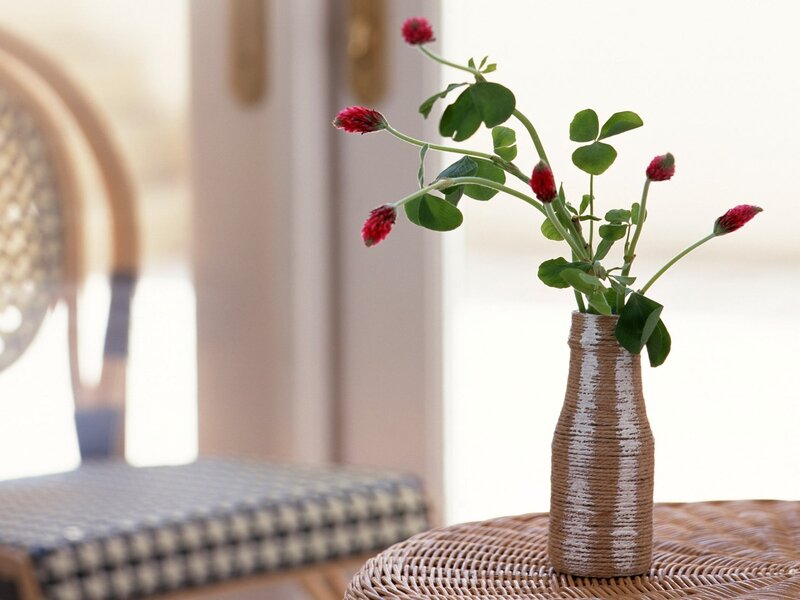 Red flowers in a vase