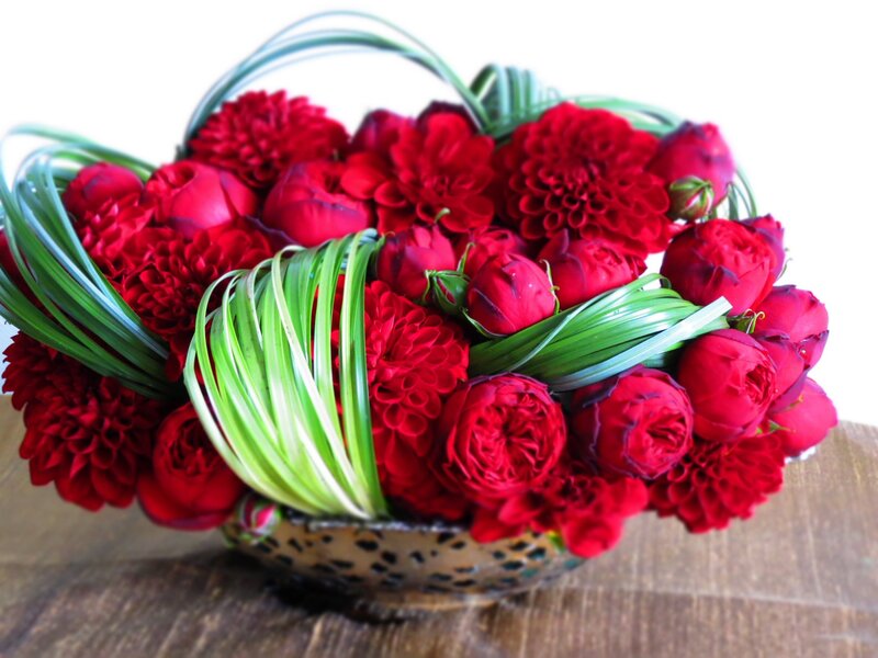 Red Flowers in Basket — Vibrant