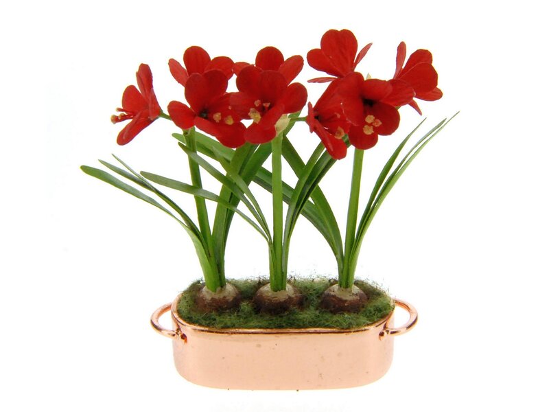 Red Flowers in Copper Pot