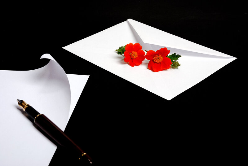 Red Flowers in Envelope