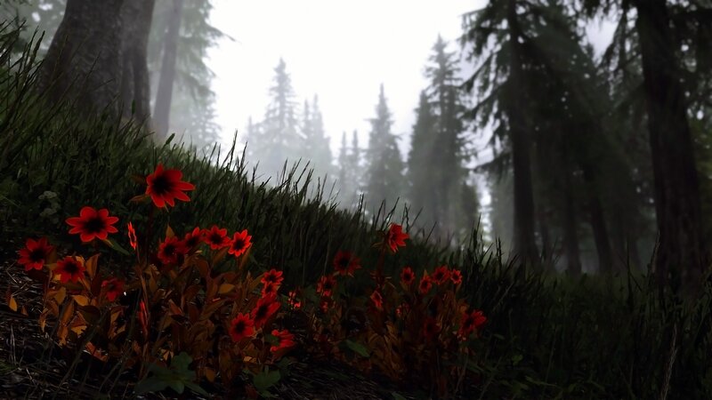 Red Flowers in Forest — Misty