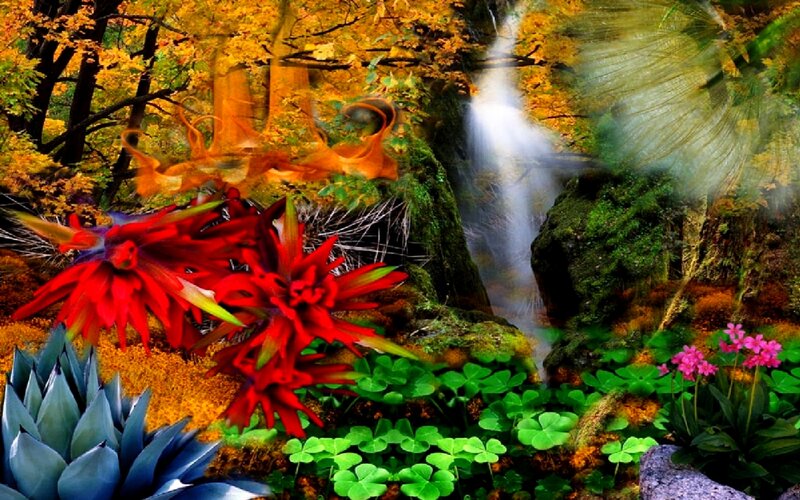 Red Flowers in Forest — Serene, Autumn