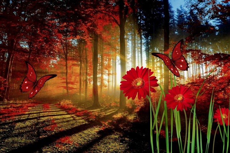 Red Flowers in Forest — Serene, Sunset