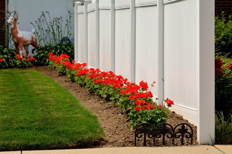 Red Flowers in Garden Bed