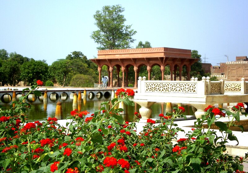 Red Flowers in Garden — Serene