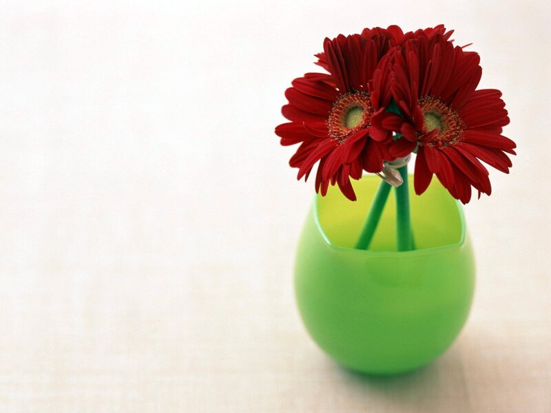 Red flowers in green vase