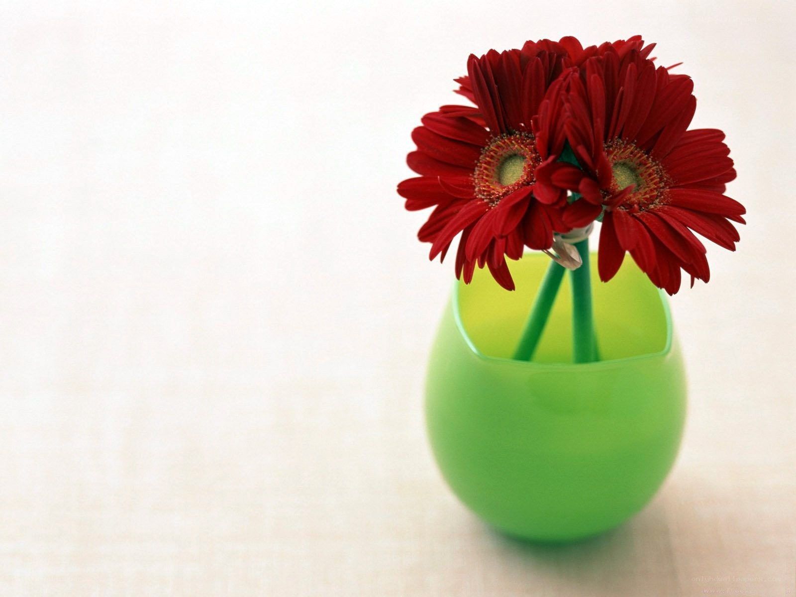 Red flowers in green vase