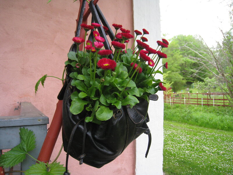 Red Flowers in Handbag
