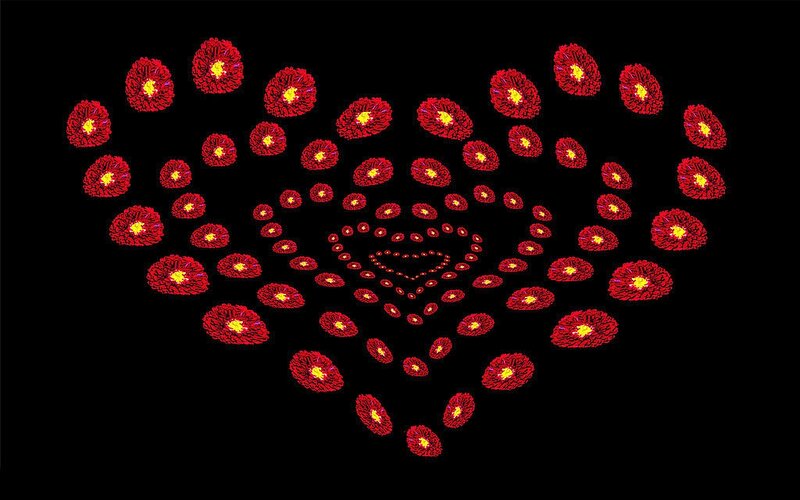 Red Flowers in Heart Shape