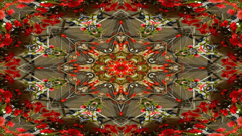 Red Flowers in Kaleidoscope