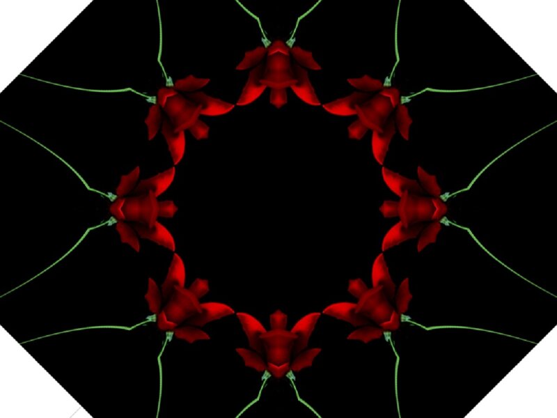 Red Flowers in Mandala