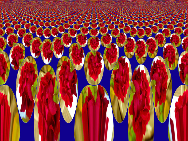 Red Flowers in Oval Frames