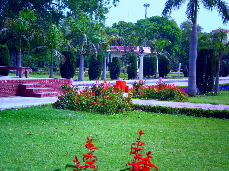 Red Flowers in Park — Green