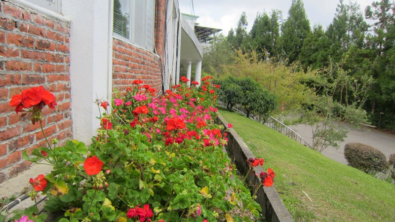 Red Flowers in Planter