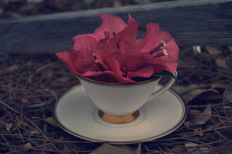 Red Flowers in Teacup