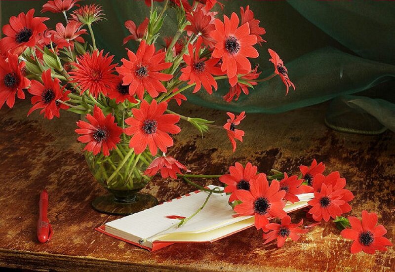 Red Flowers in Vase — Calm, Photograph